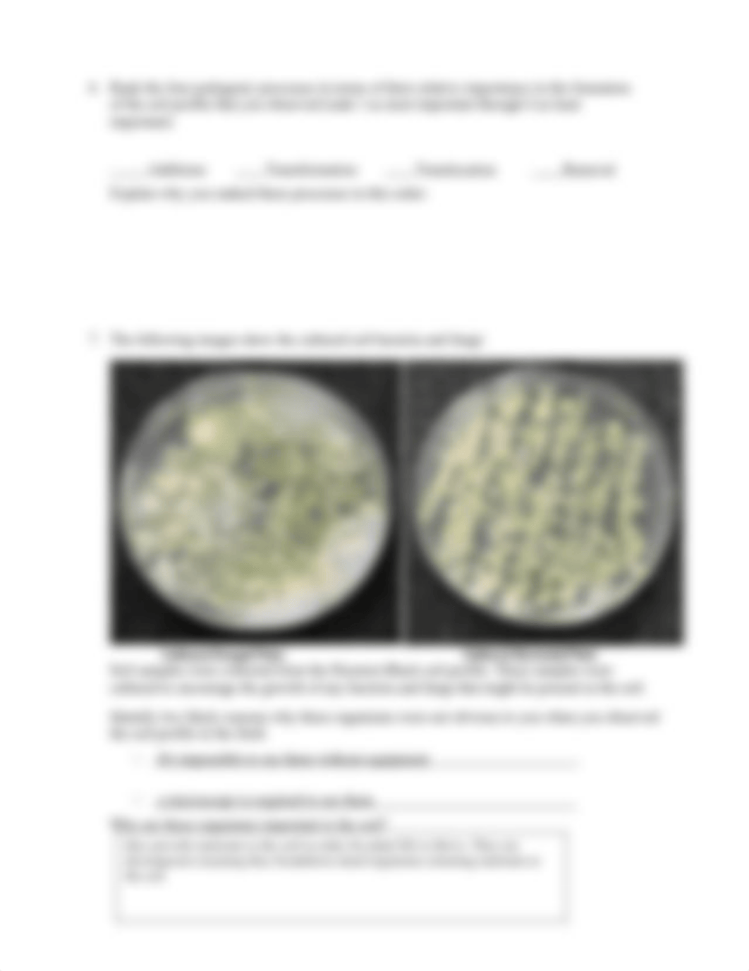 Lab 6 - Part II - Soil characterization (In Class) 100%.docx_d1dbqqmaz5i_page3