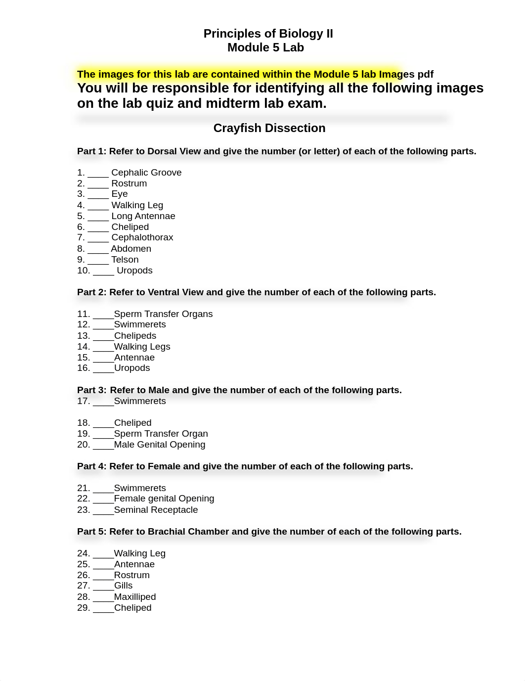 Module 5 Lab.pdf_d1dh6h3fjrl_page1