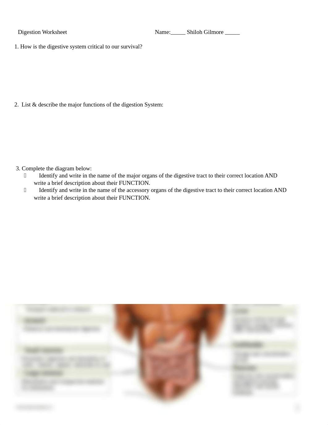 digestion worksheet .docx_d1dihr0p9sj_page1