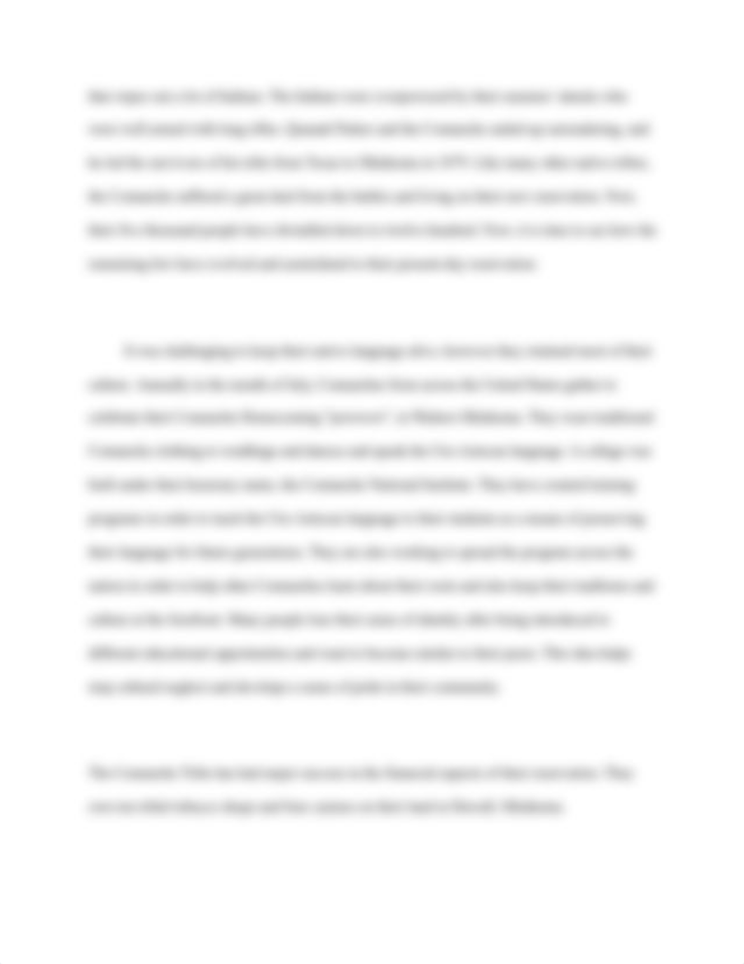 native american  essay.docx_d1dy43984ey_page2