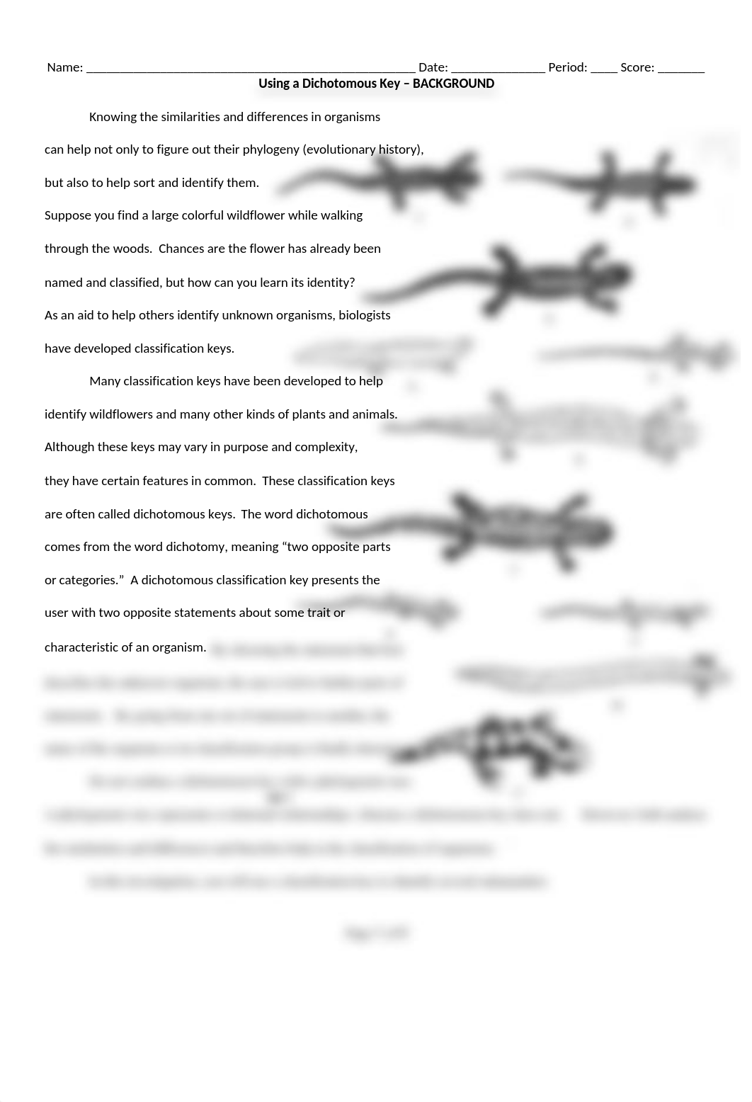 Salamander Dichotomous Key.docx_d1e1ggbw9t0_page1