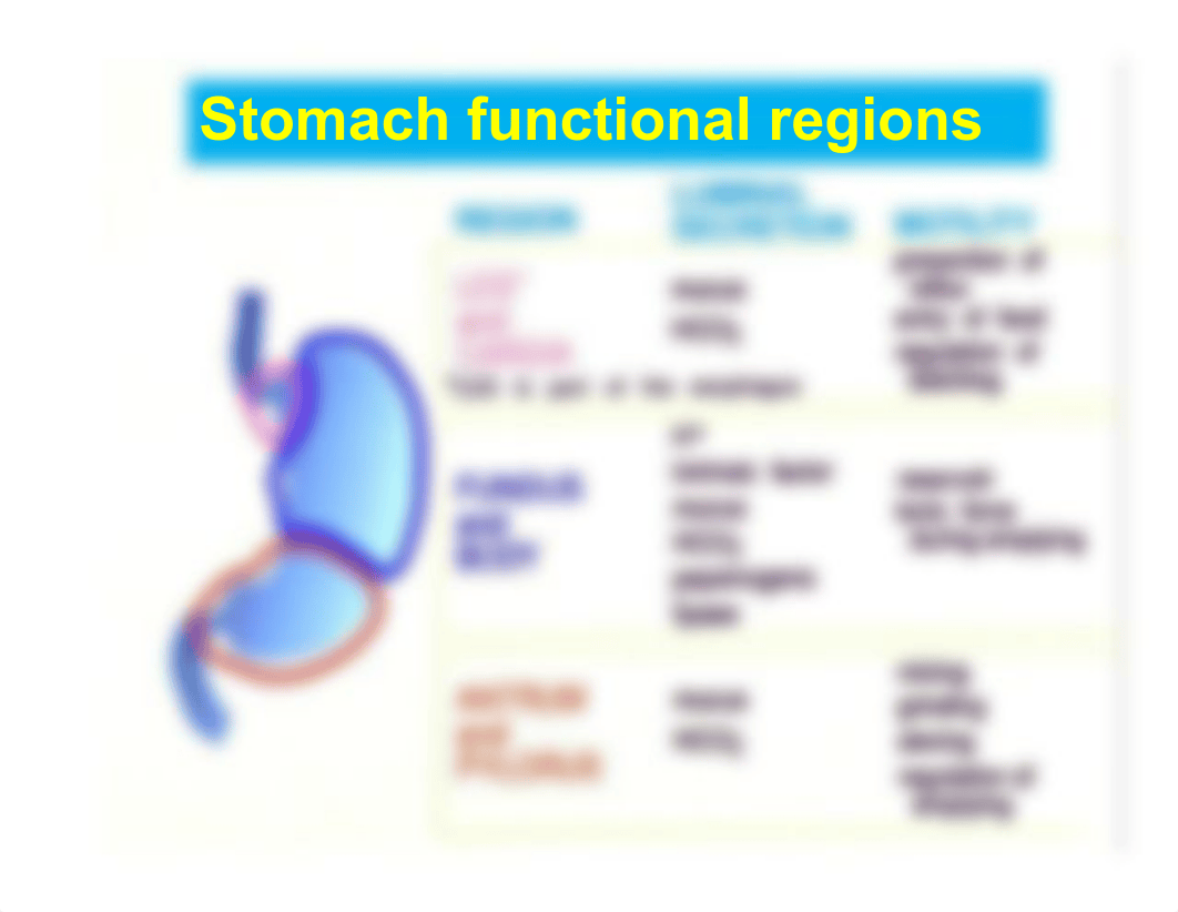 Lecture 35 Gastric Phase of Digestion_d1ednsh0fe6_page3