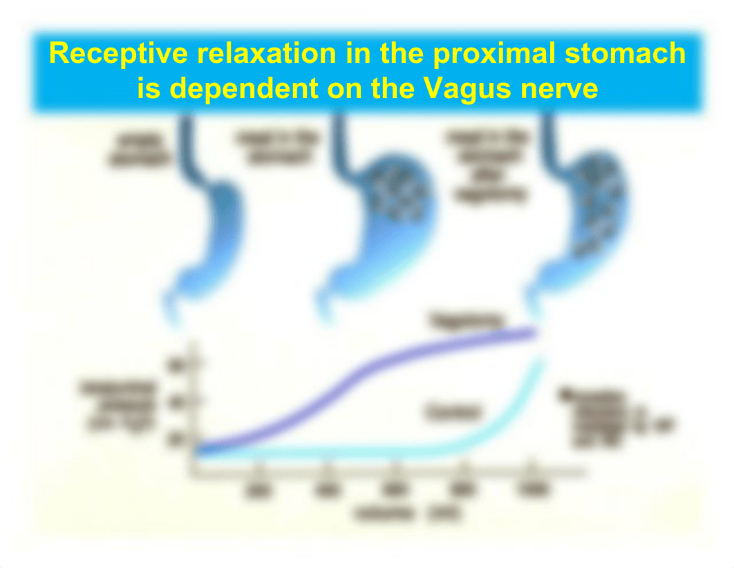 Lecture 35 Gastric Phase of Digestion_d1ednsh0fe6_page5