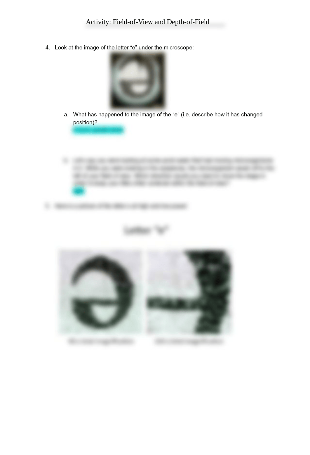 Copy of Activity_ Field of View and Depth of Field (1).pdf_d1el8za5m0g_page2