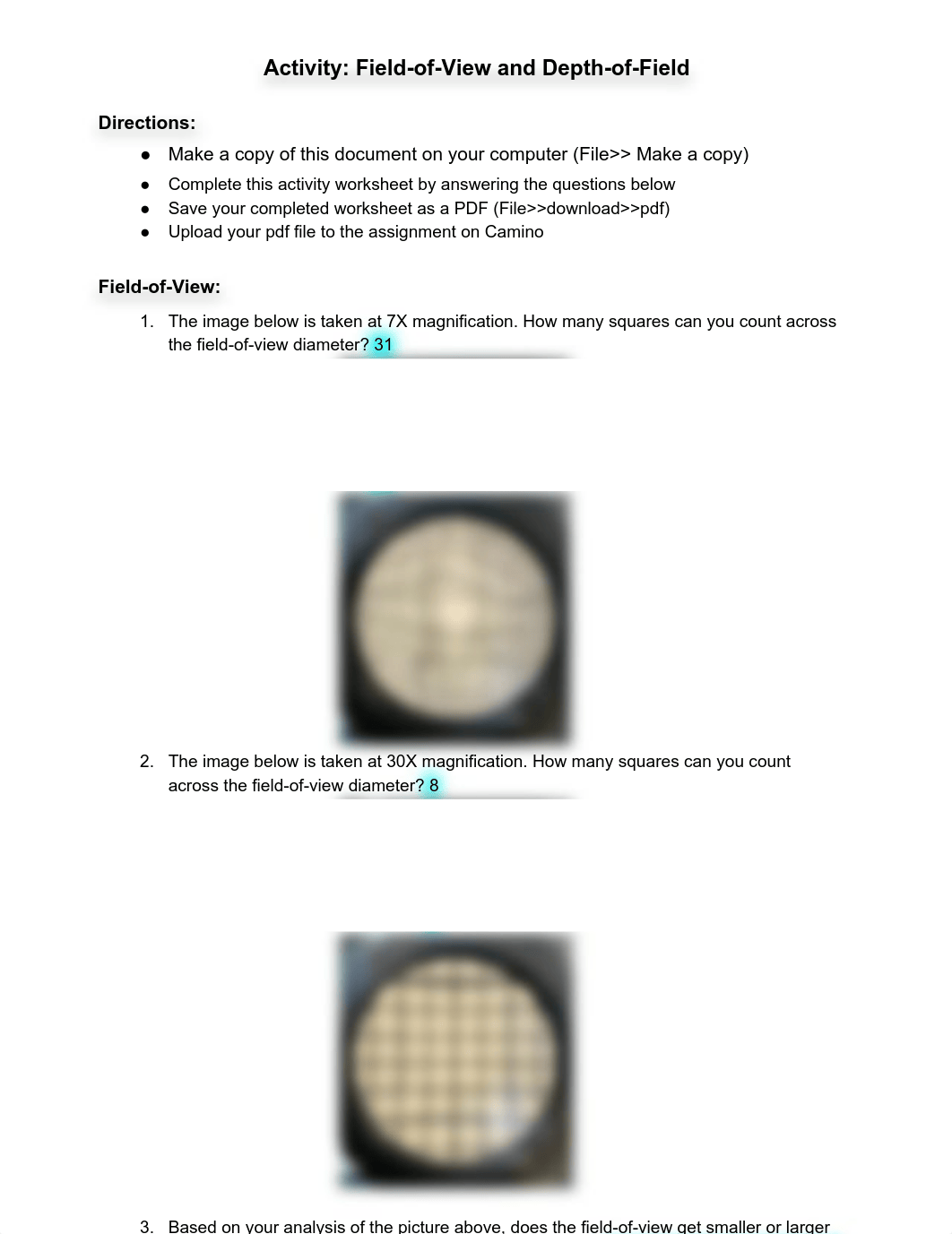 Copy of Activity_ Field of View and Depth of Field (1).pdf_d1el8za5m0g_page1