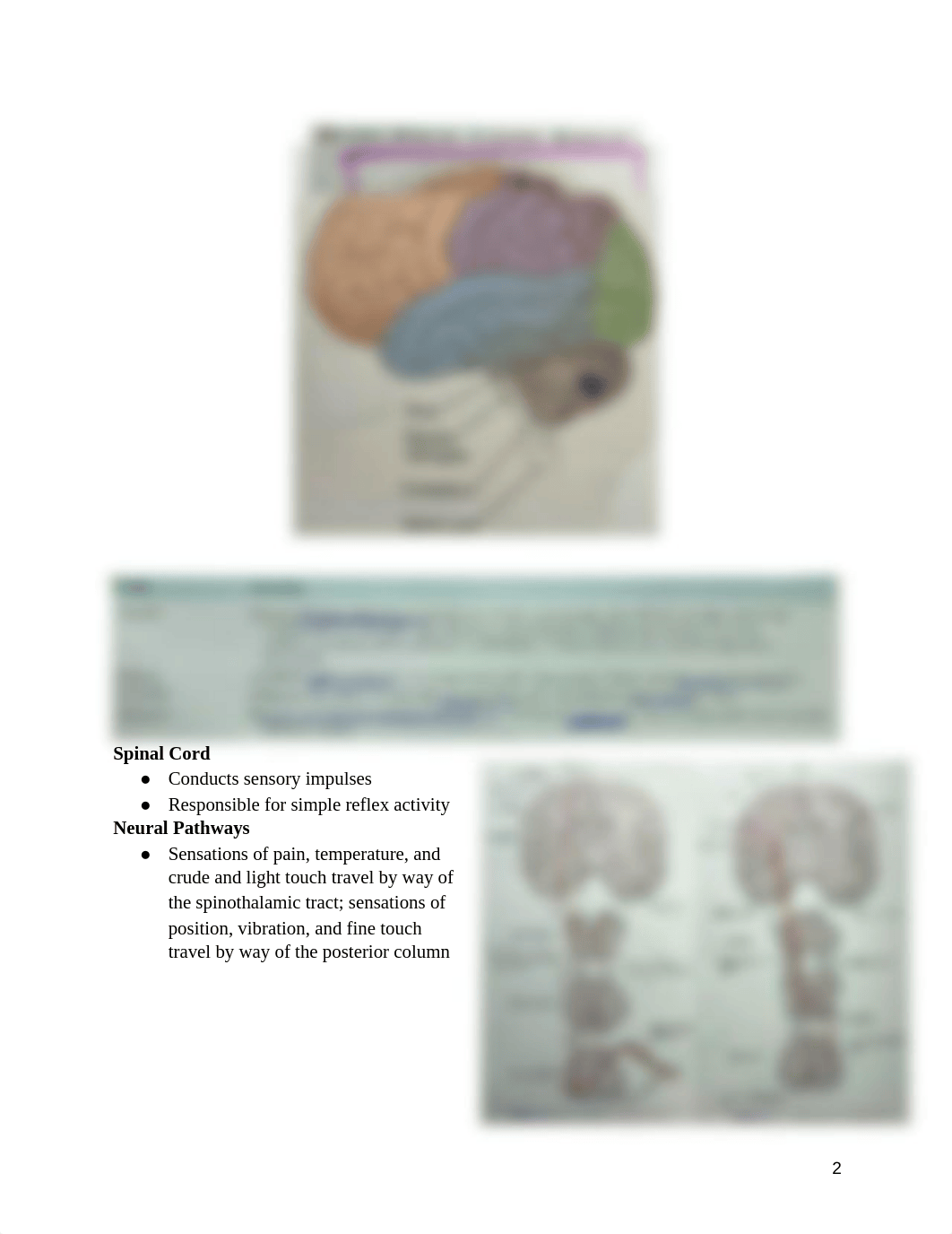 Ch 25 Assessing Neurological System_d1eqxfz1pnl_page2