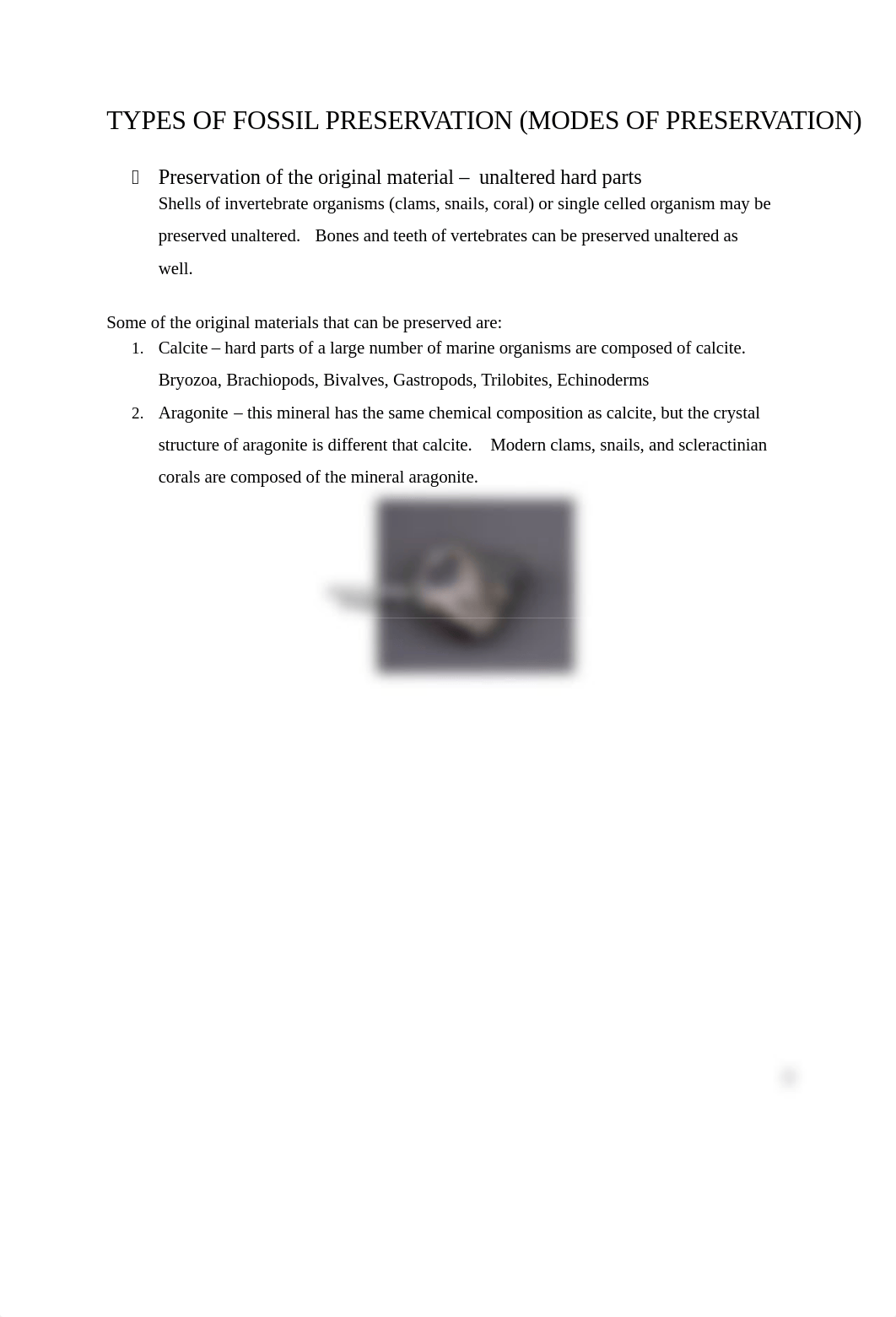 Modes of fossil preservation lab.docx_d1ez12tvrhg_page2