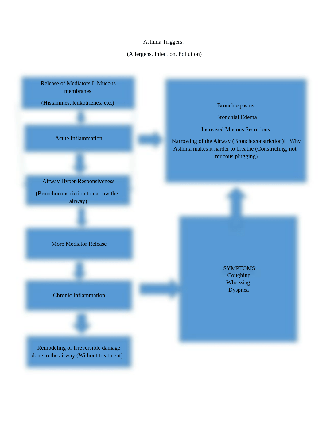 Chronic Illness Asthma Study Guide.docx_d1f5n254jjo_page2