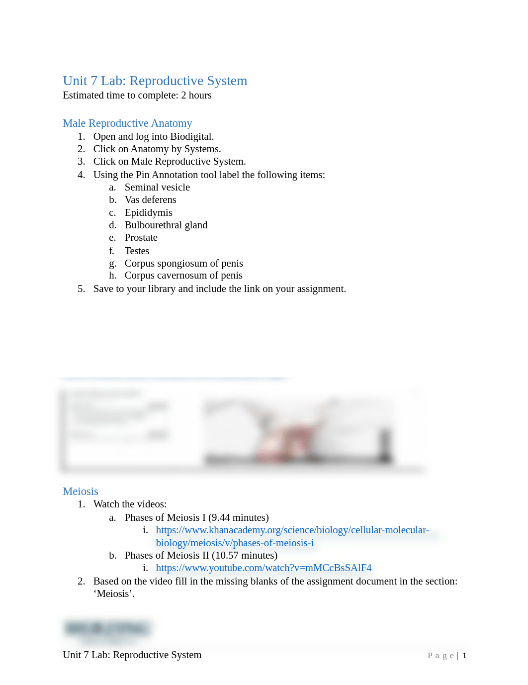 Answers Unit 7 Lab Reproductive System.docx_d1fh037x904_page1