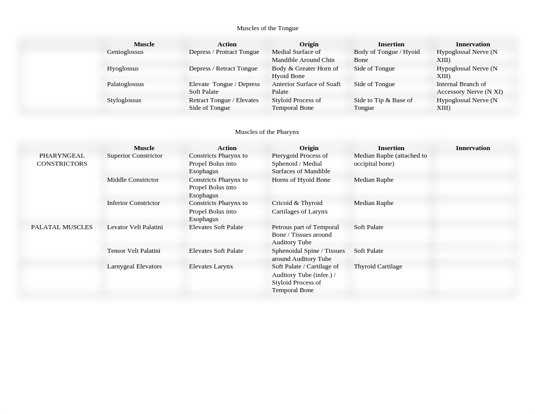 Origin & Insertion_d1fkfx9dl4h_page3