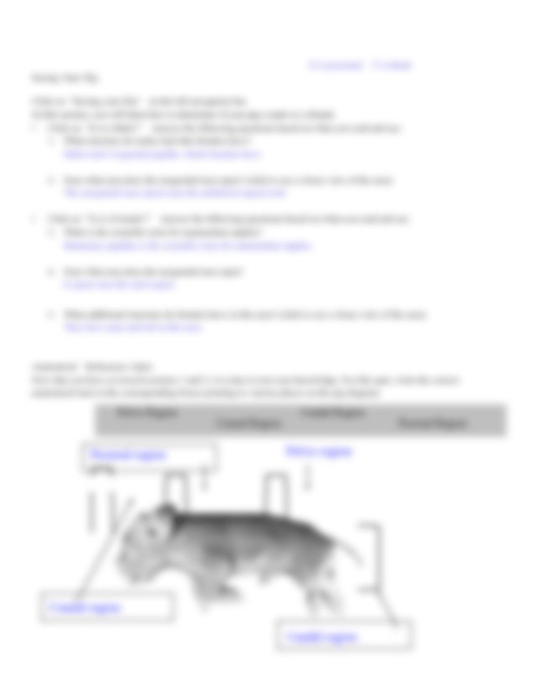 Virtual_Pig_Dissection.docx_d1fomuooa6c_page3