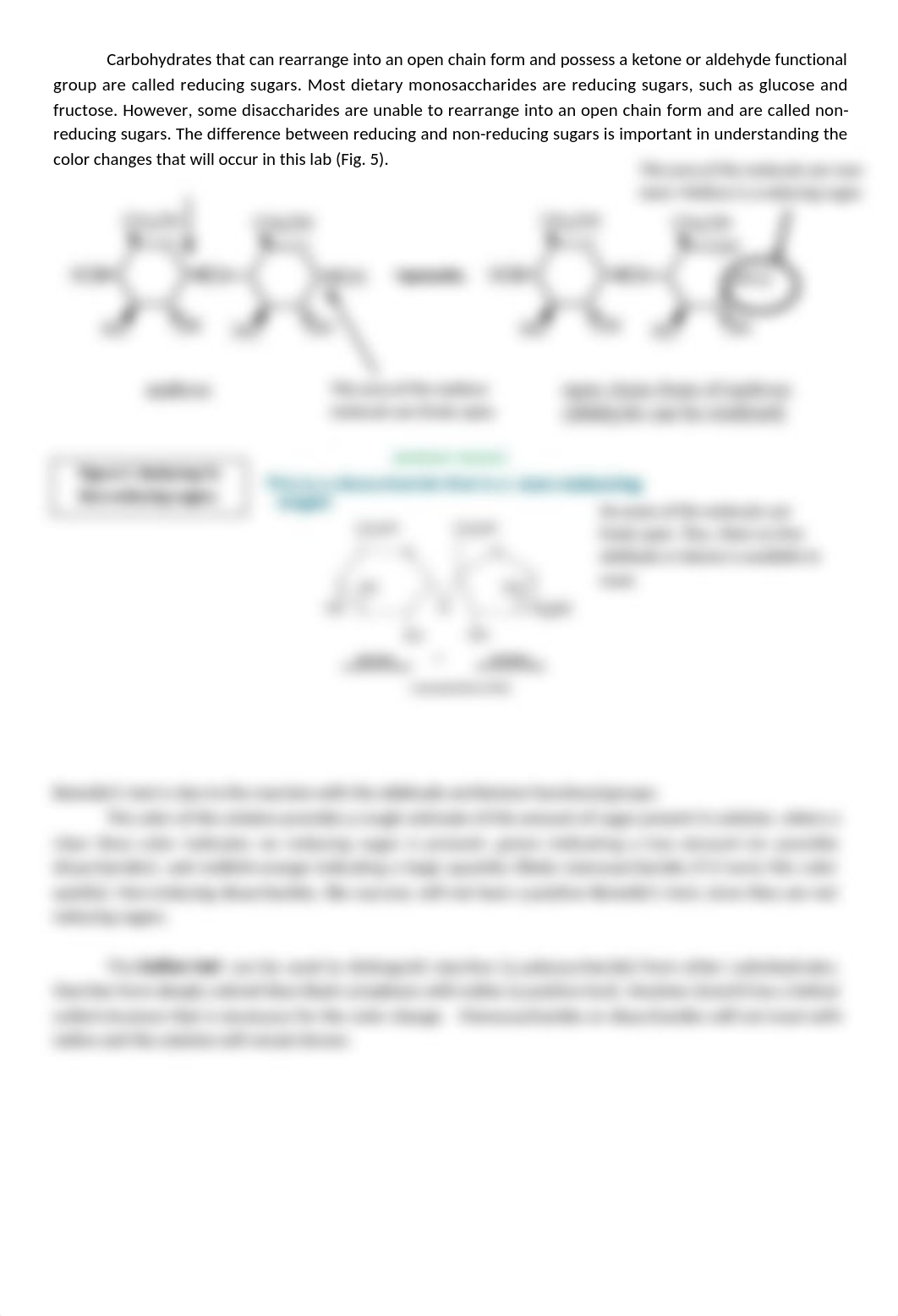 done Lab 4  - Macromolecules.docx_d1fztki8em4_page3