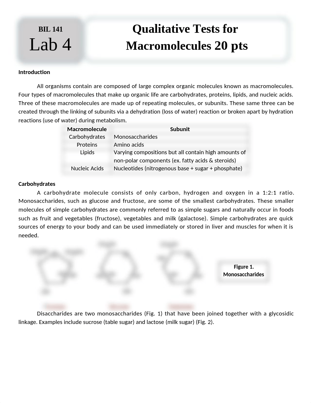 done Lab 4  - Macromolecules.docx_d1fztki8em4_page1