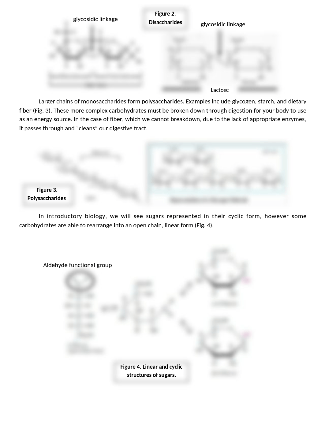 done Lab 4  - Macromolecules.docx_d1fztki8em4_page2