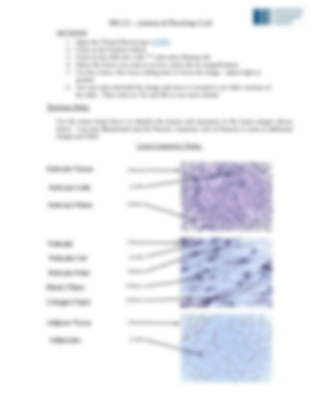 Ex 5 - Tissues (Connective) rev b.pdf_d1g1xwyd5rs_page3