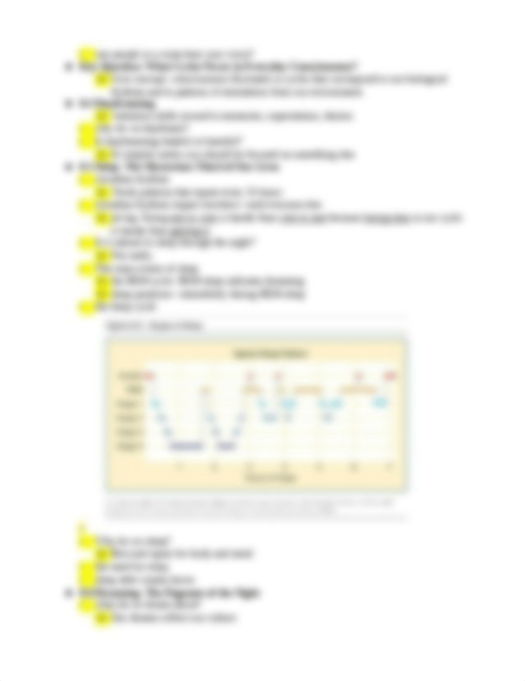 Notes Ch 8--States of Consciousness_d1gl2s45oh9_page2