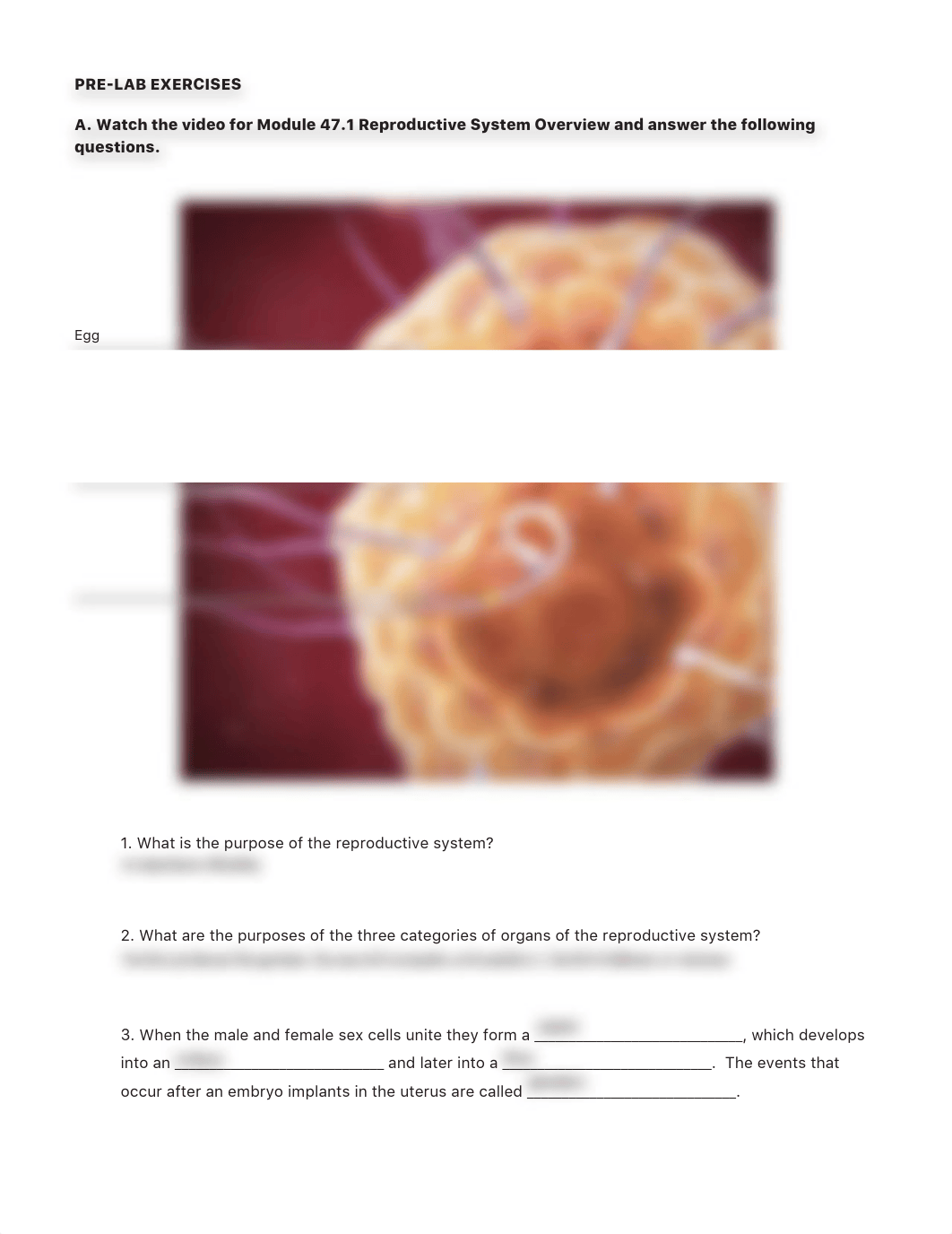 BIO324LabWorksheetConception.pdf_d1glghq0byj_page2