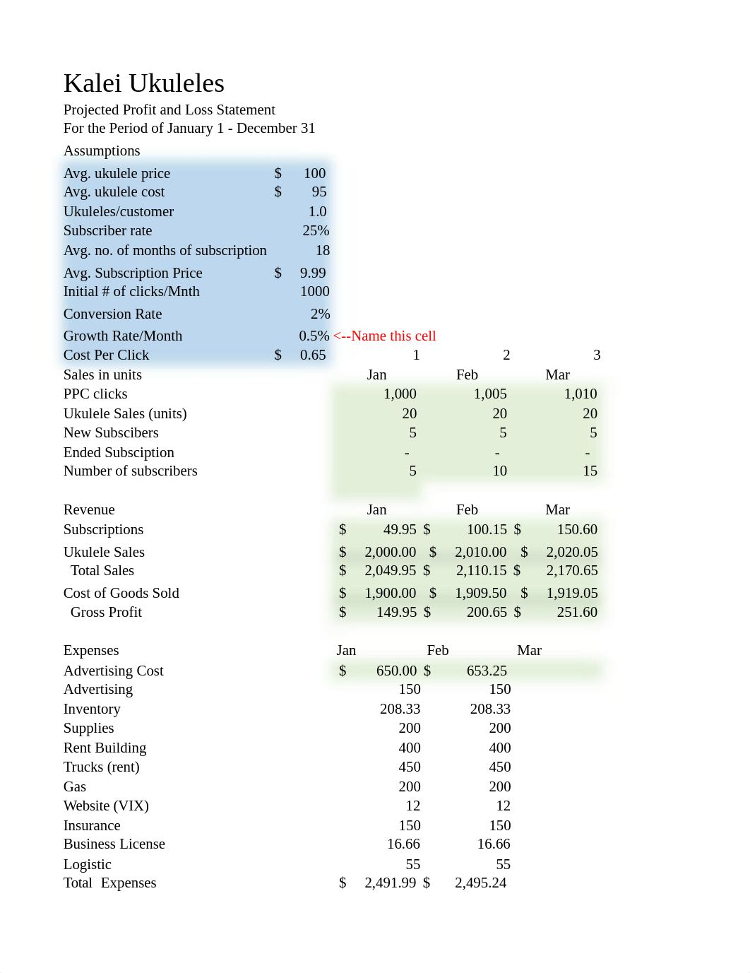 W05 Peer Feedback Expenses Section of Projected P&L BUS koke.xlsx_d1gmvtpk3c4_page1