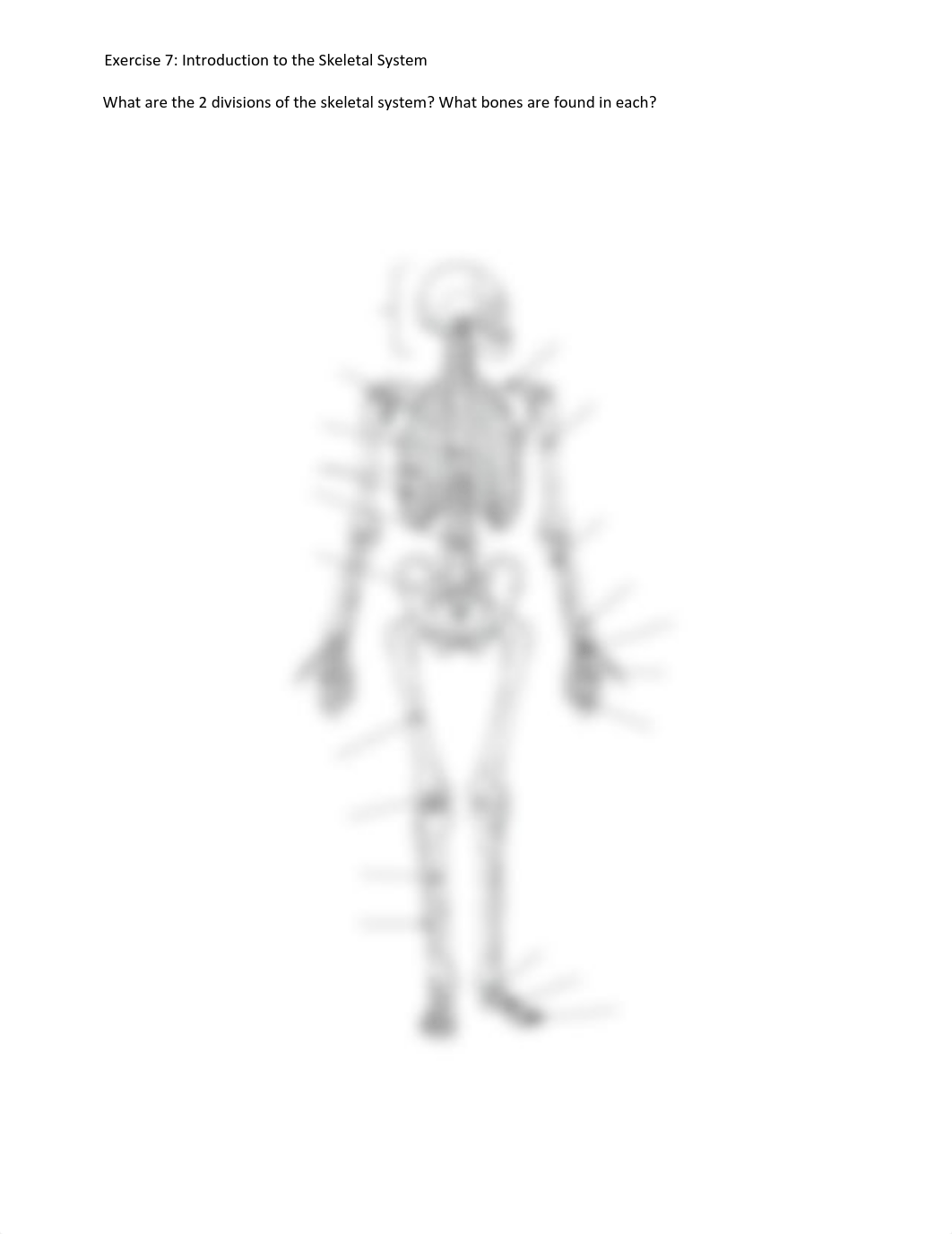 Skeletal System Online Lab.pdf_d1gqd317a7g_page3