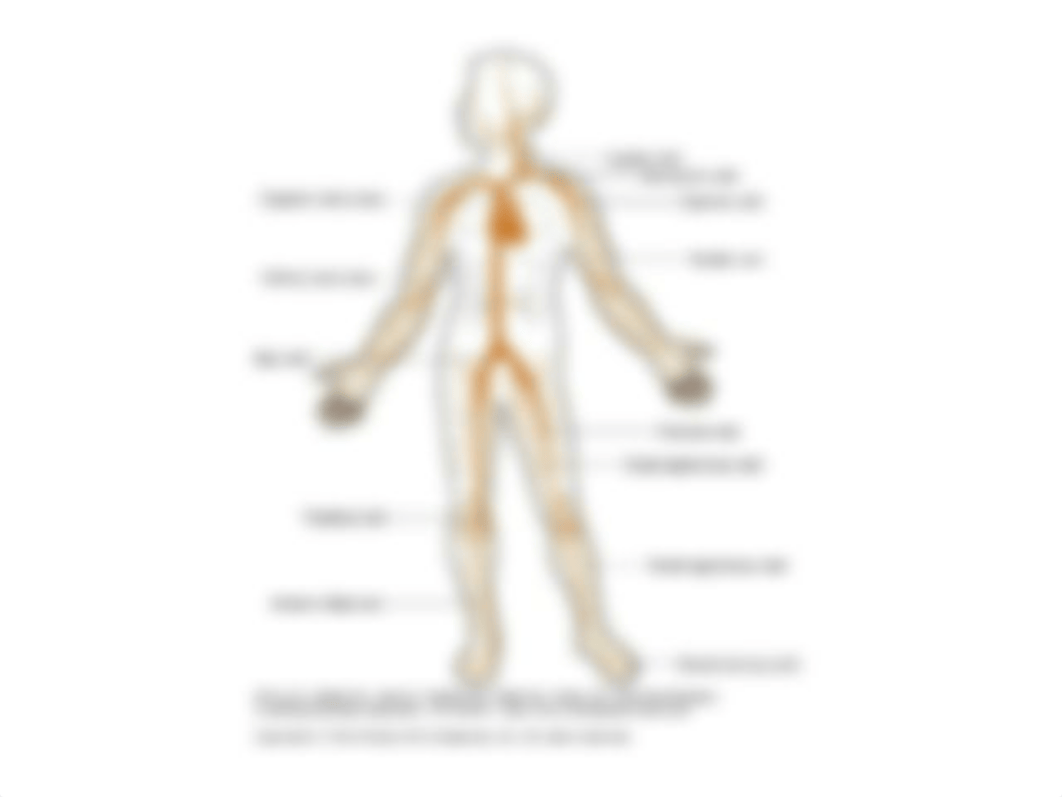 Venous Thromboembolism.pptx_d1gr8yvdey8_page5