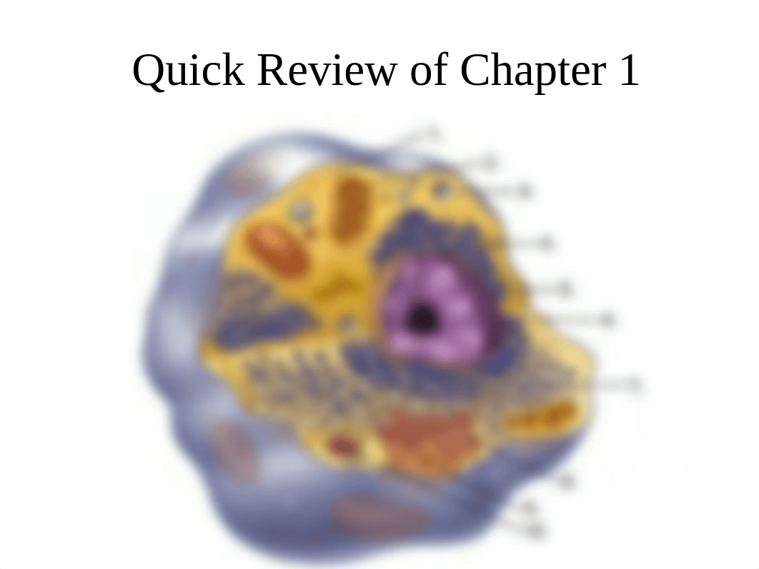 Student Altered Cellular and Tissue Biology-1_d1h0f2fy19p_page2