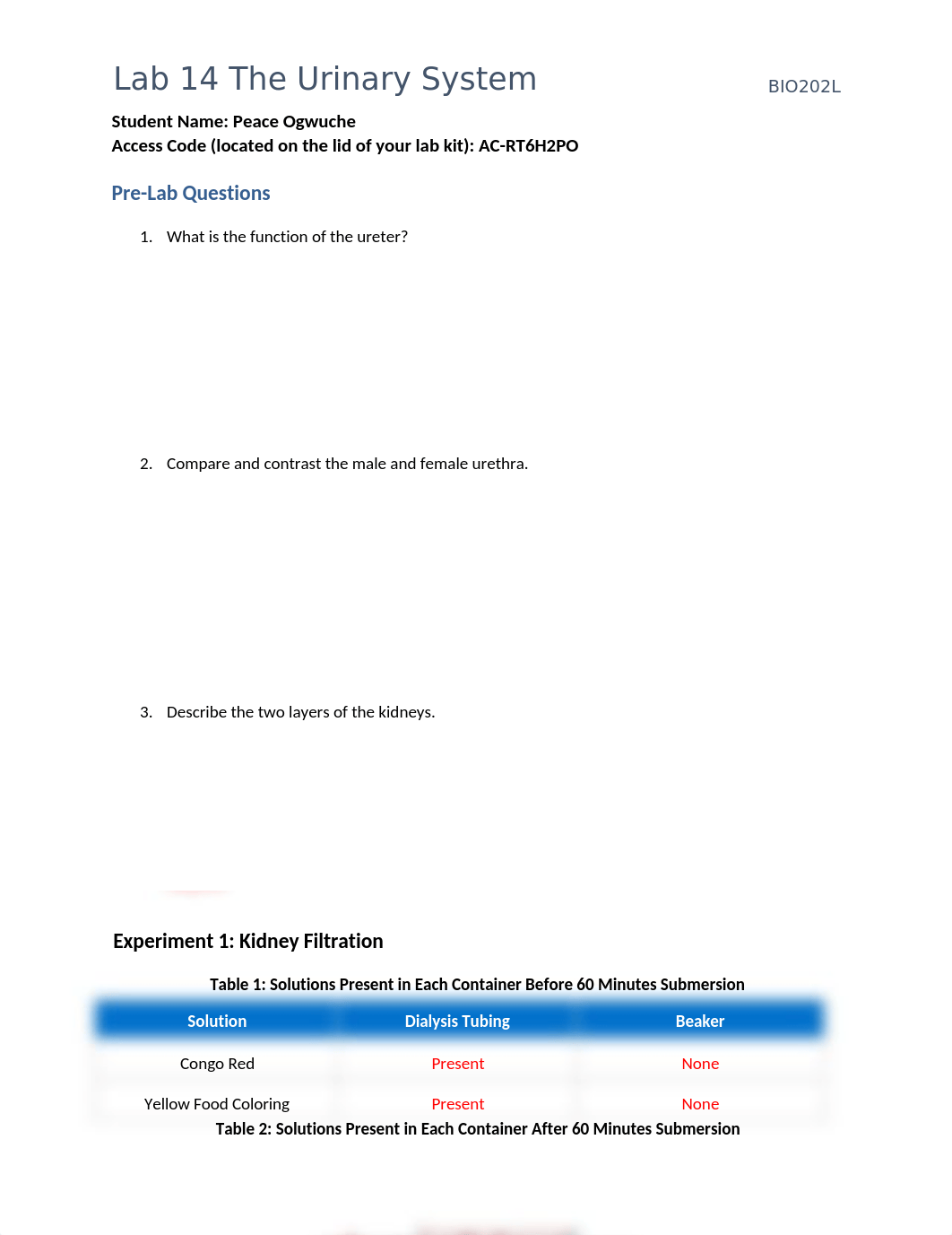 Lab 14 The Urinary System.docx_d1h399nyam8_page1