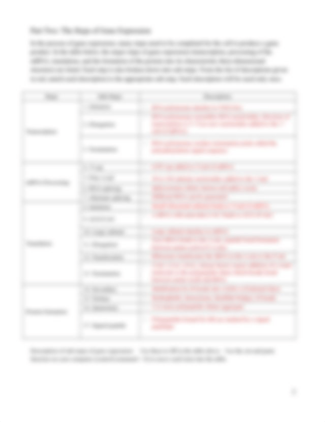 Gene Expression Worksheet (1).docx_d1h3x5kypfw_page2