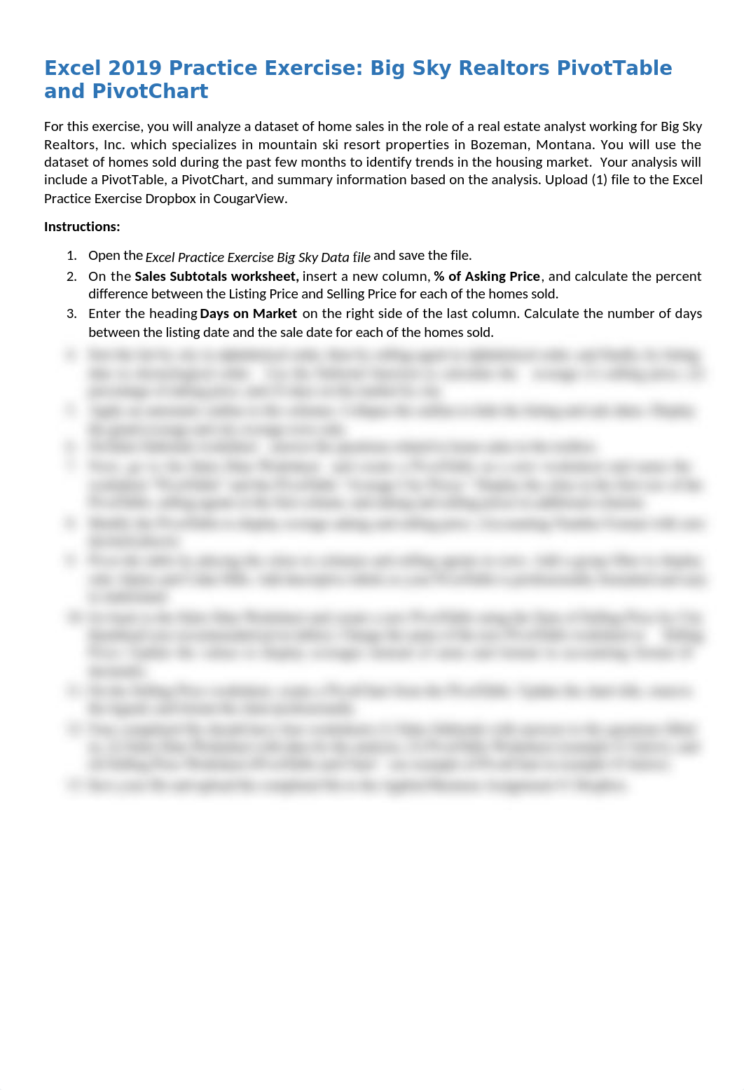 Excel Practice Assignment Big Sky Pivot Table Instructions.docx_d1h8pqdfo1u_page1