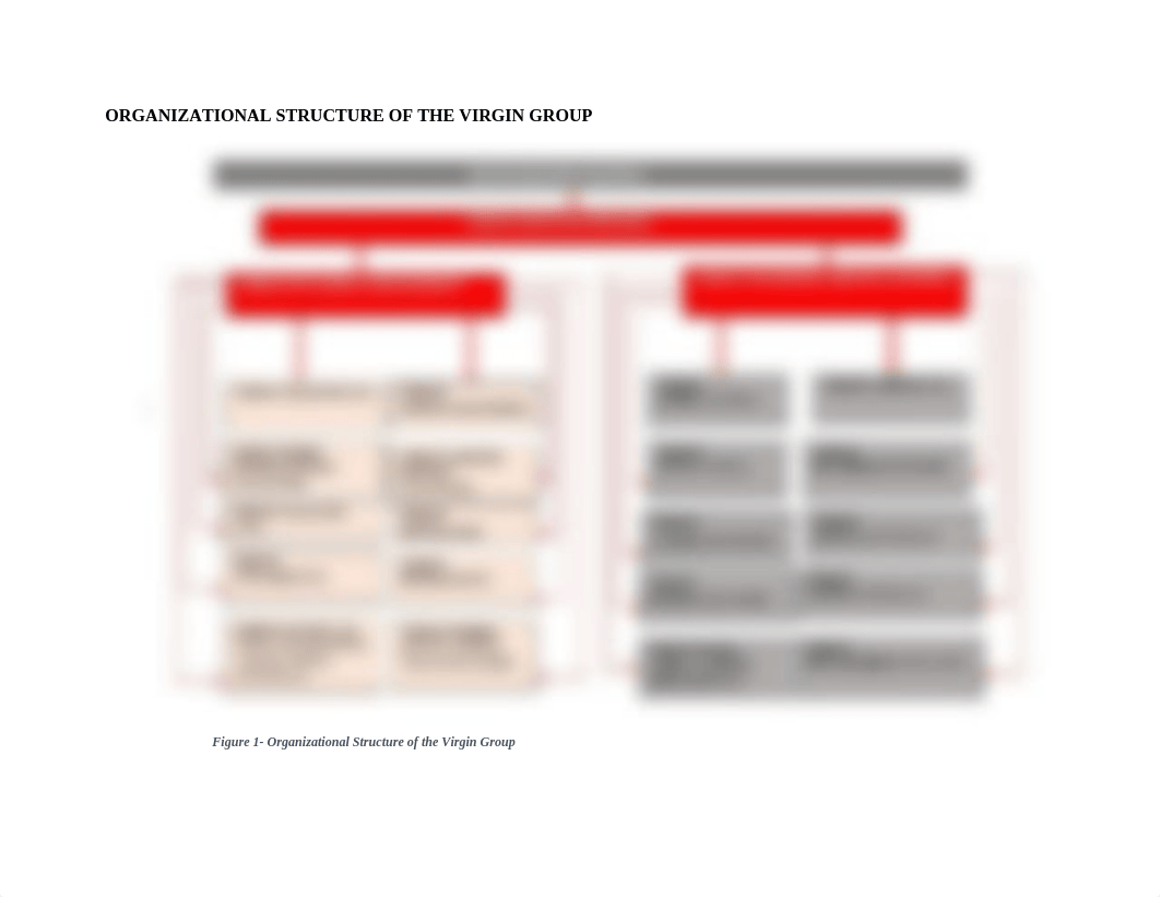 ORGANIZATIONAL STRUCTURE OF THE VIRGIN GROUP.docx_d1h9cgm3r3i_page2