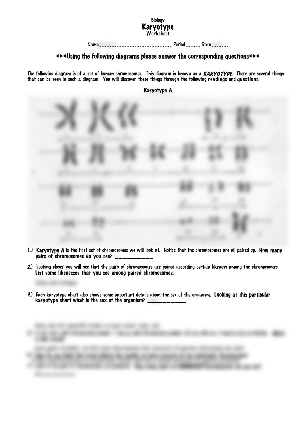 6-Karyotype Worksheet.cwk (WP).pdf_d1hh2rj3qxy_page1