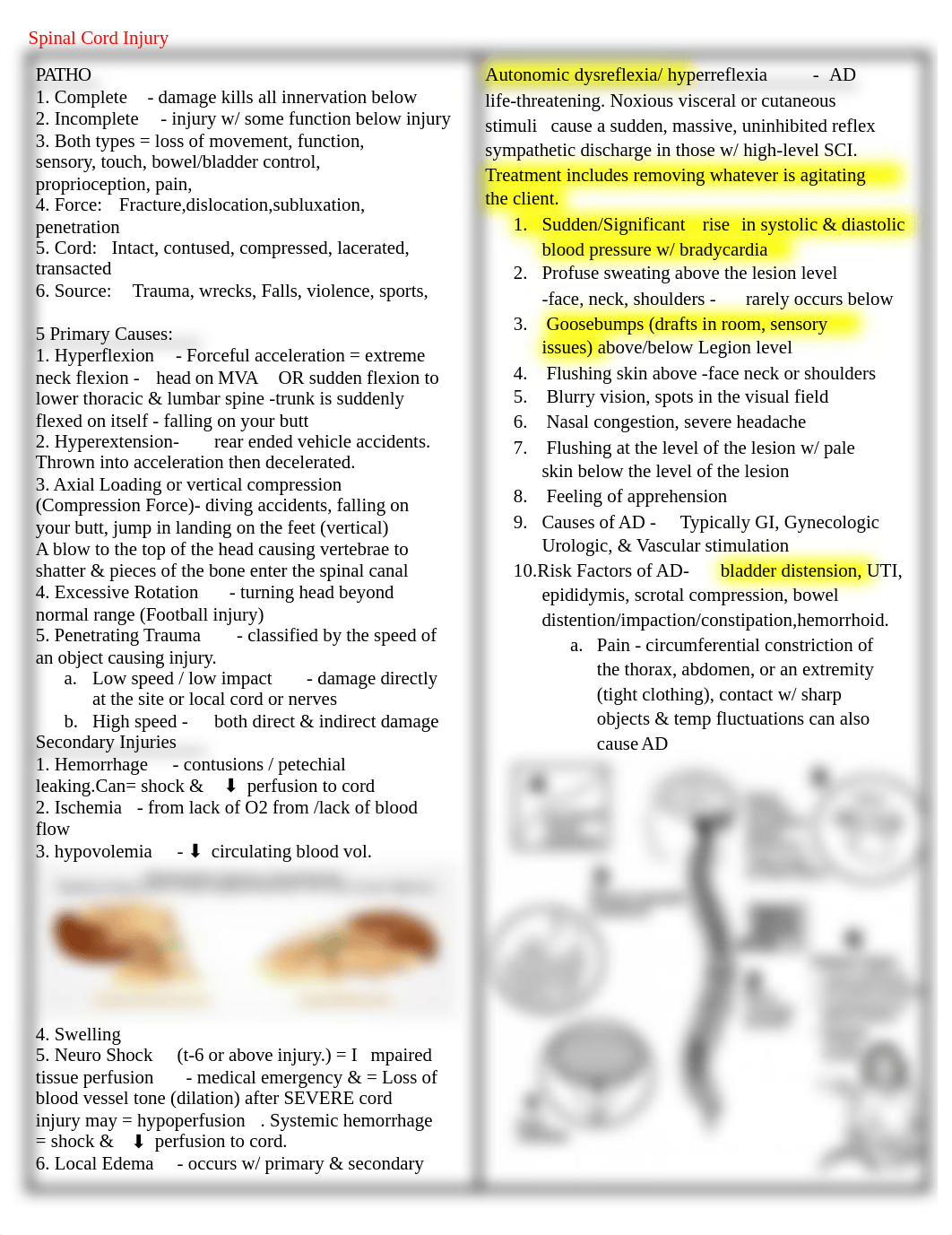 Module 3 Quick Review.pdf_d1hhninwcav_page1