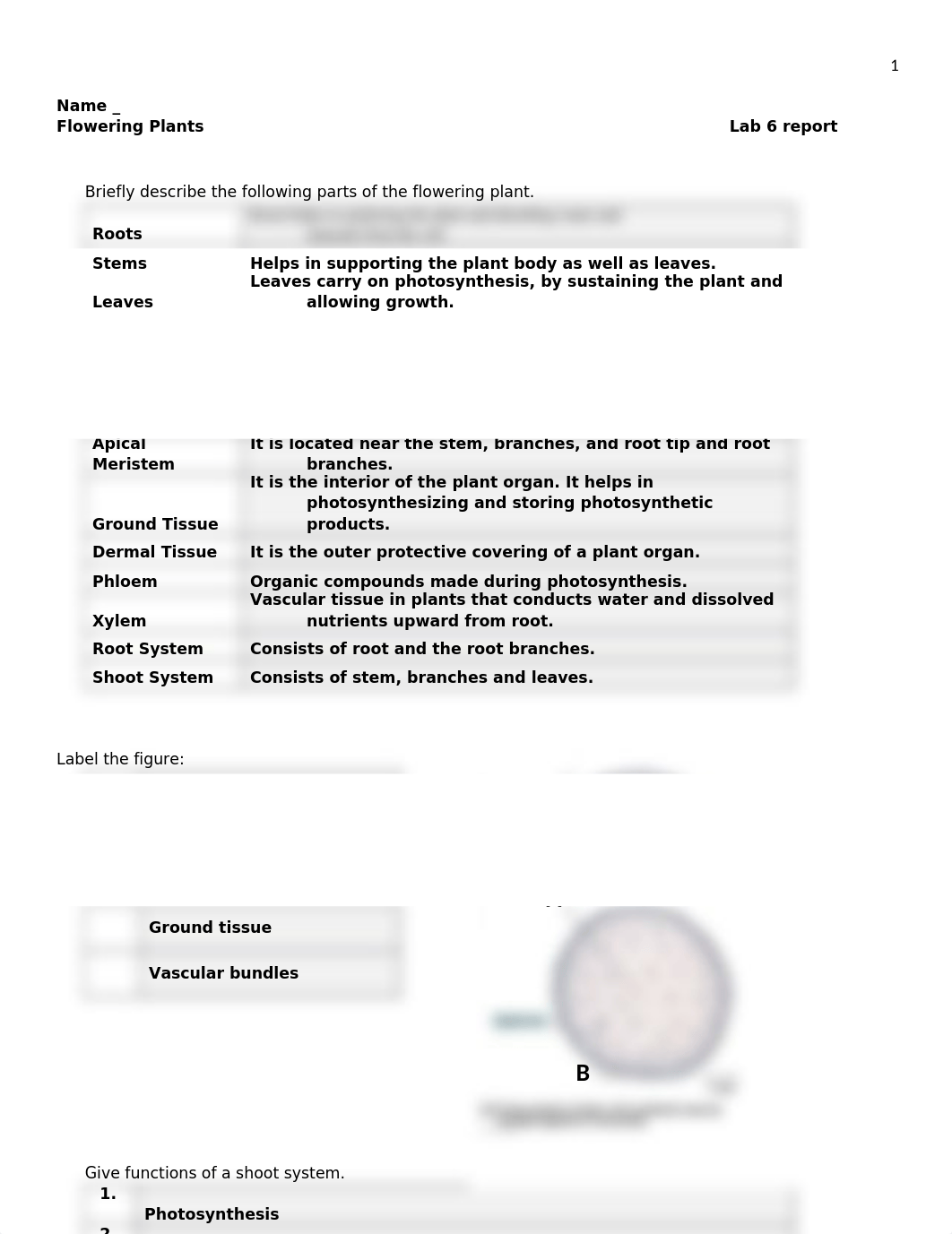 Lab Report 6 Flowering Plants.docx_d1hlya7ctz5_page1