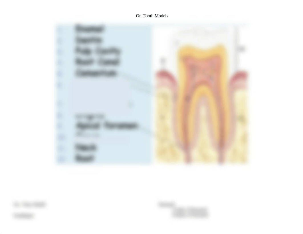 Lab Week 13 Digestive System_d1hmcs4ua6d_page3