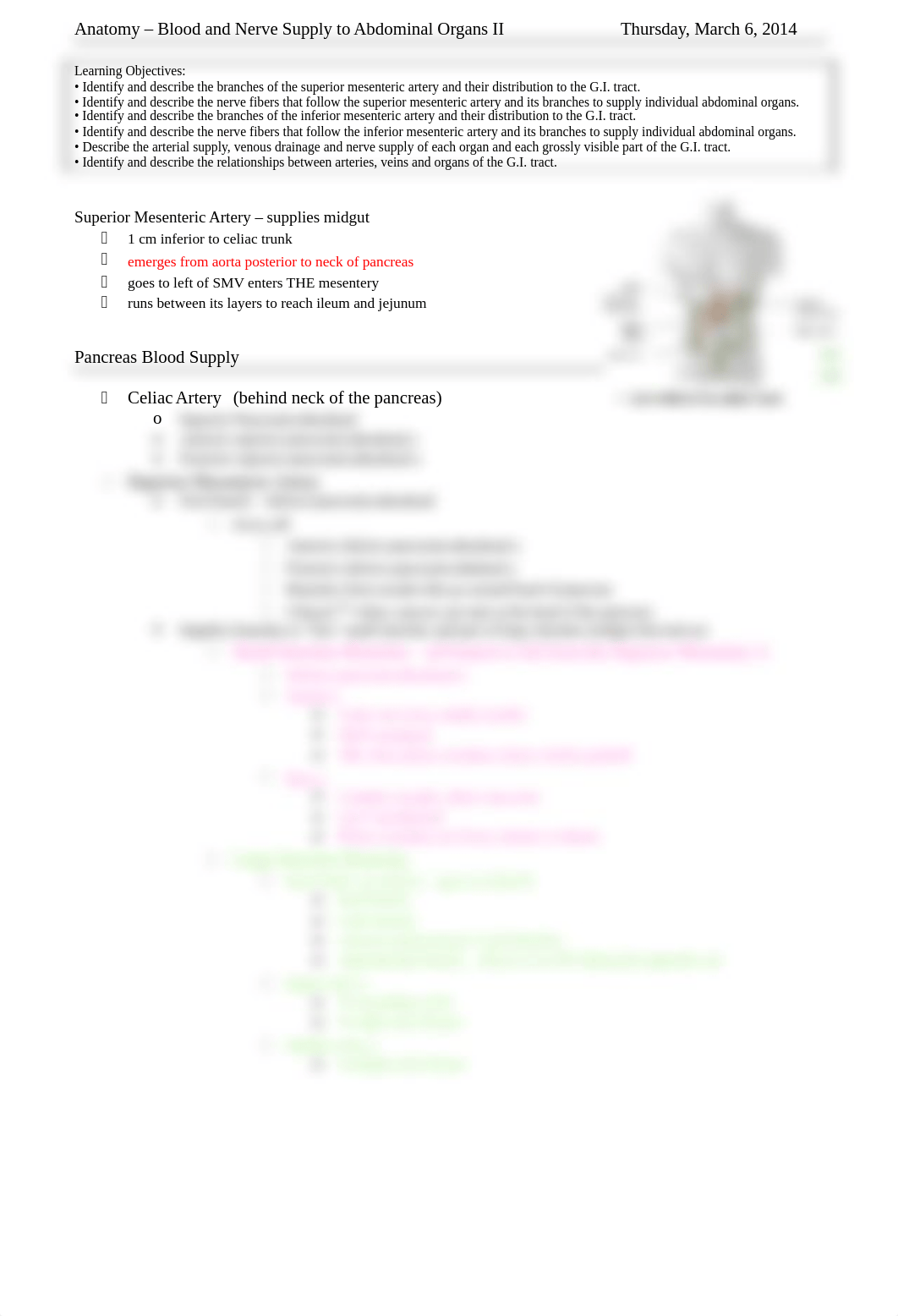 Anatomy - Blood and Nerve Supply to Abdominal Organs I_d1hoqy0ggqa_page1