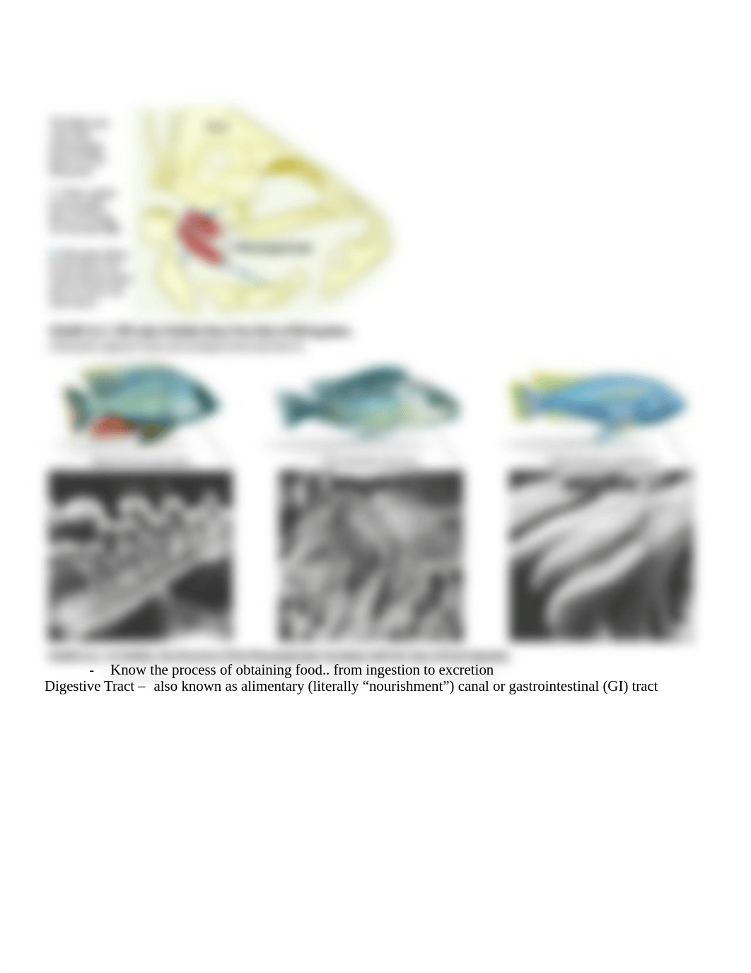 Biology Test #2 Review_d1htiyreul7_page2