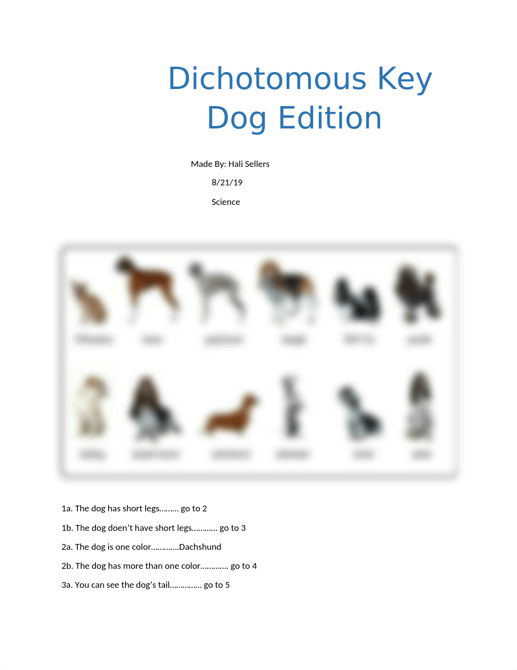 Dichotomous Key.docx_d1i4wqj01l0_page1