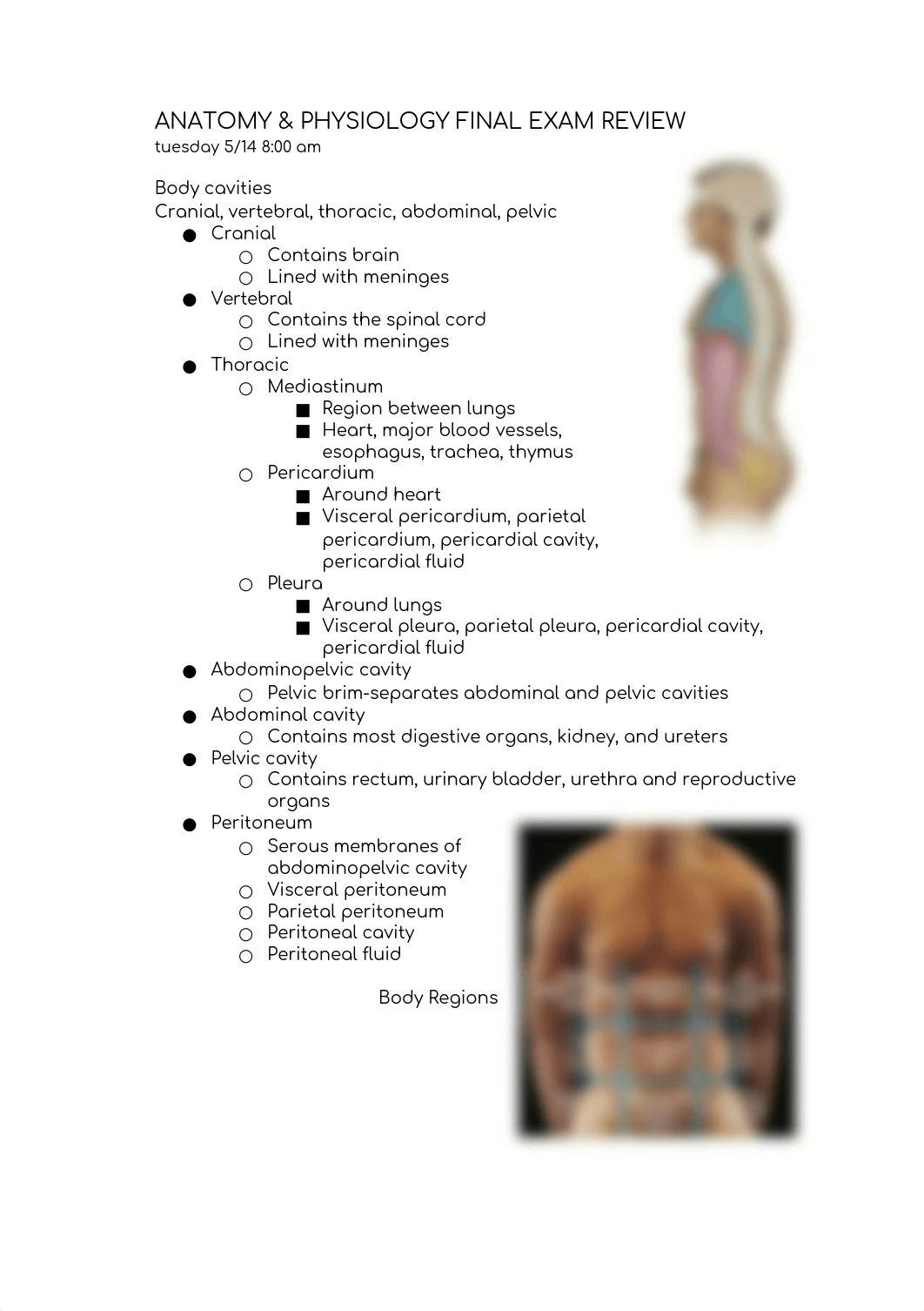 ANATOMY & PHYSIOLOGY FINAL EXAM REVIEW.docx_d1i7tjv6187_page1