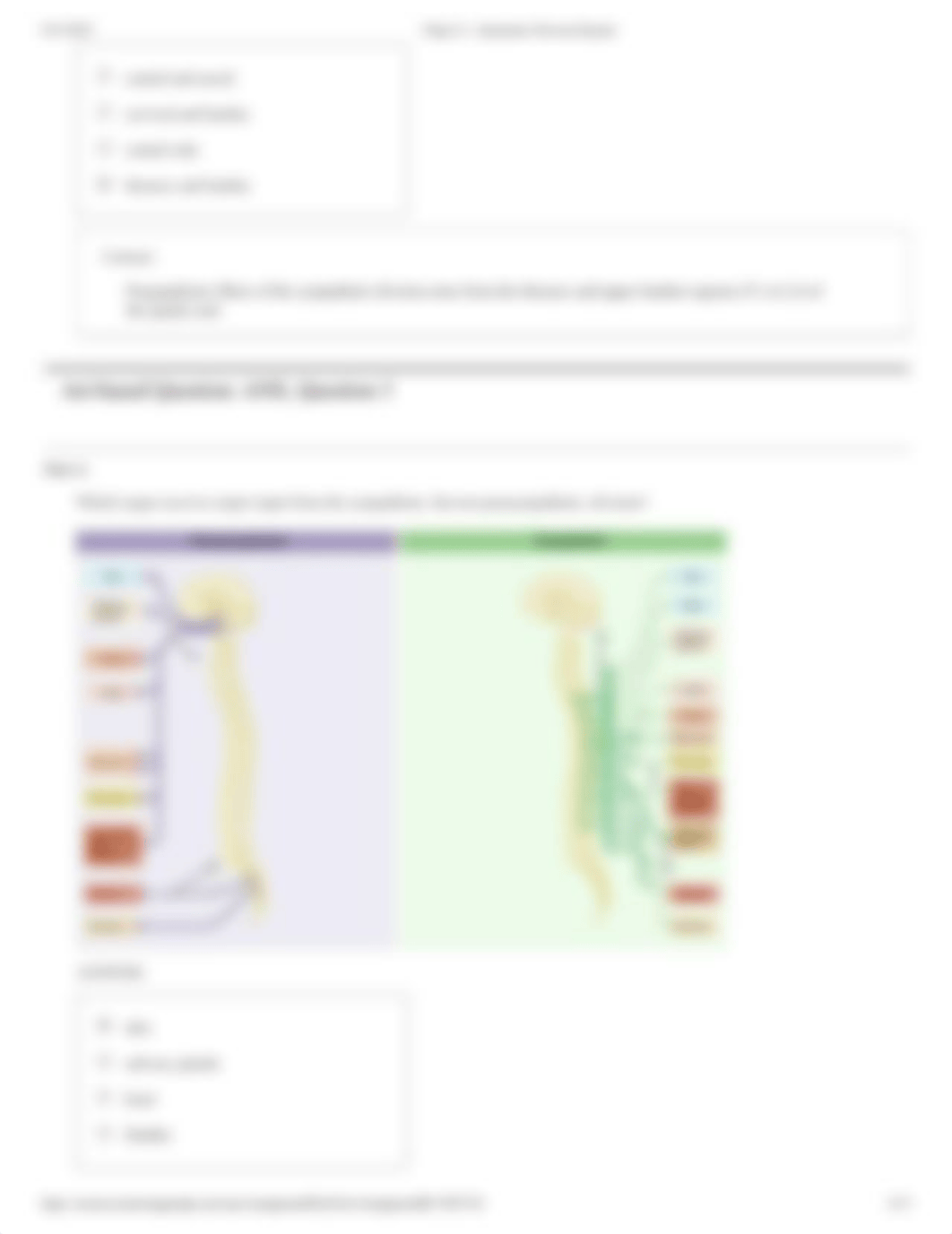 Chap 14 - Autonomic Nervous System homework.pdf_d1ix7q1aln3_page4