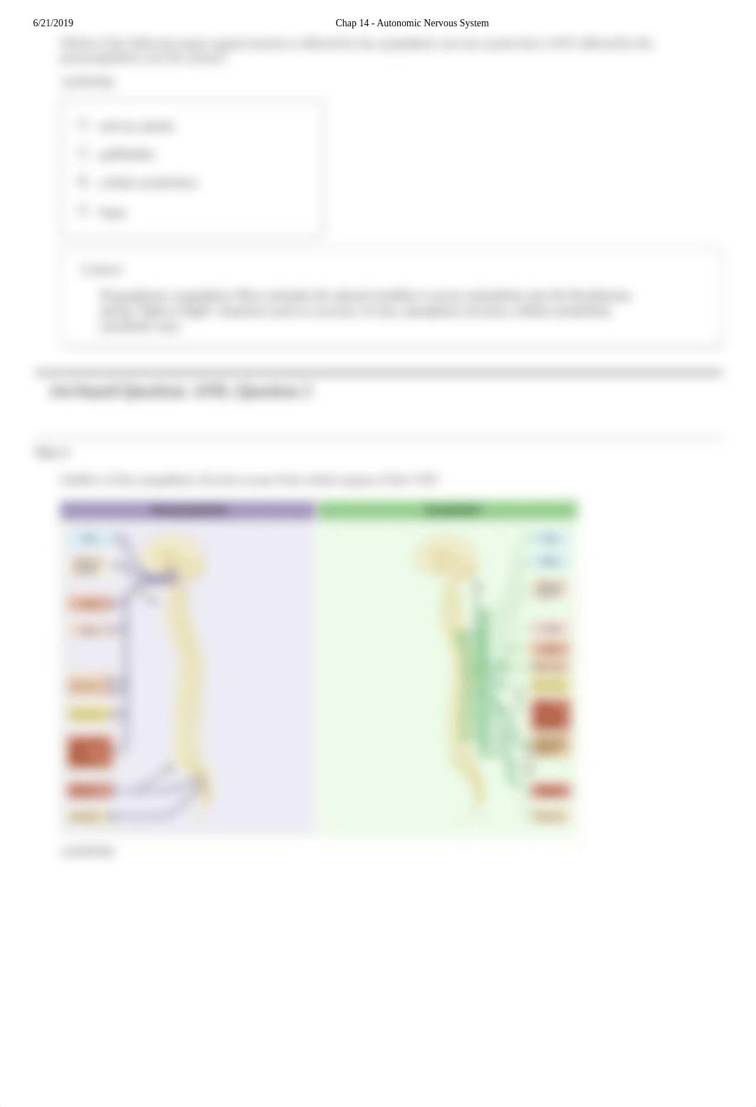 Chap 14 - Autonomic Nervous System homework.pdf_d1ix7q1aln3_page3