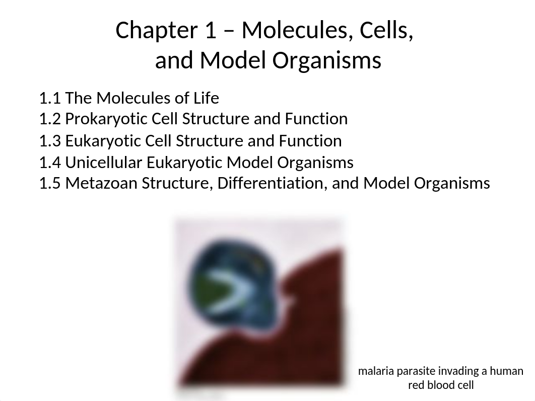 Cell Chapter 1_d1j2m2epw32_page1