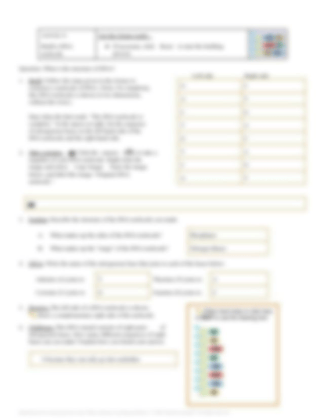 Student Exploration Building DNA.pdf_d1j3ate34dy_page2