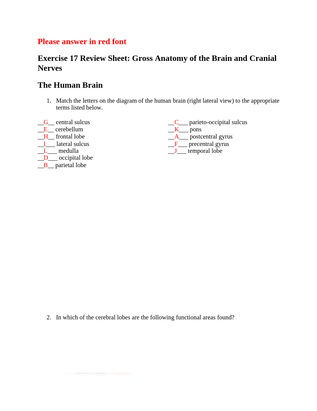 Exercise 17 Review Sheet.docx_d1j4fiw1m29_page1