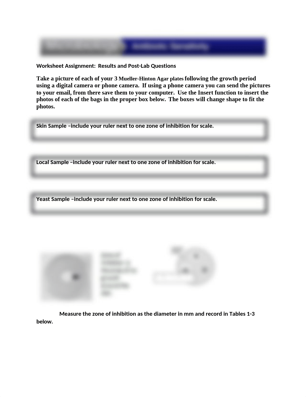 Lab 9A Antibiotic Sensitivity Worksheet(1) (2).docx_d1jexekpn13_page1