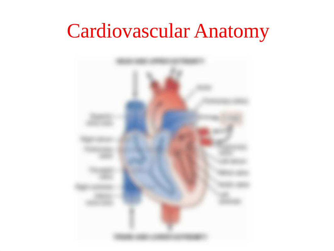 Cardio 1.pptx_d1jm32i6jm4_page4