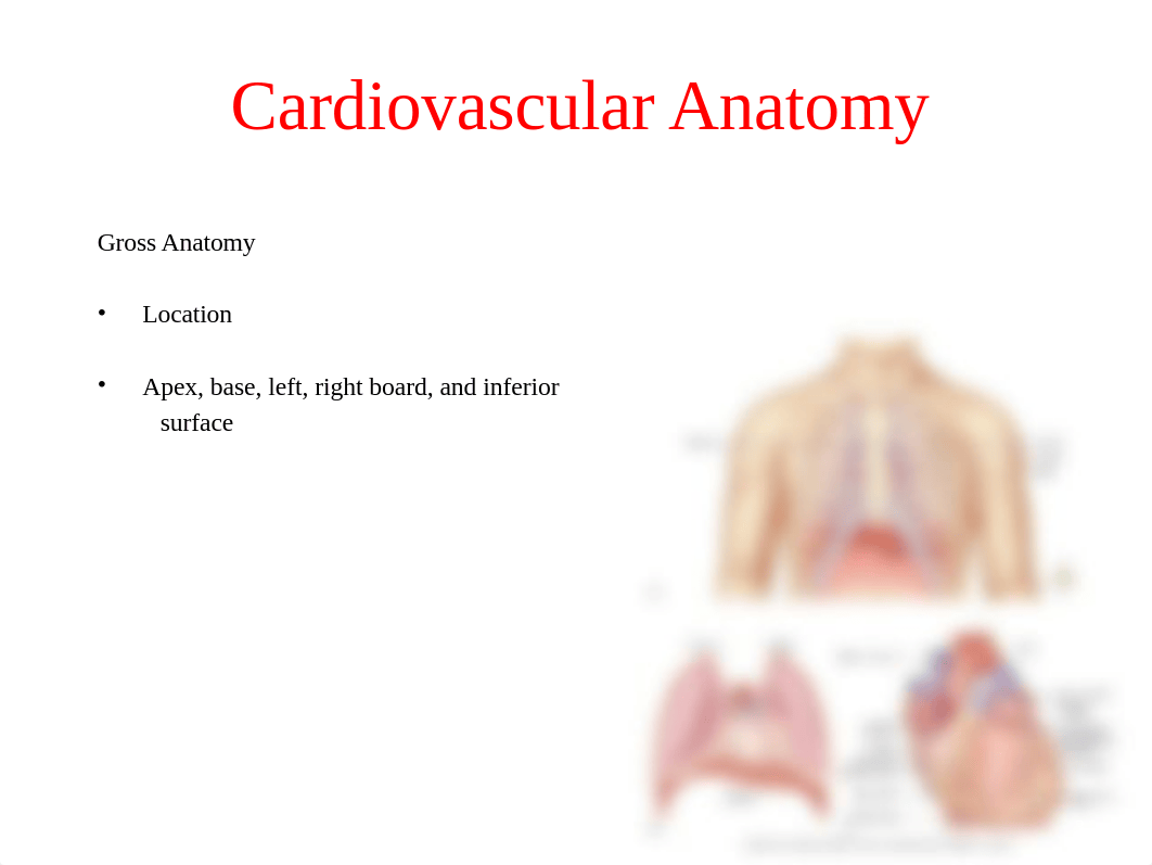 Cardio 1.pptx_d1jm32i6jm4_page3