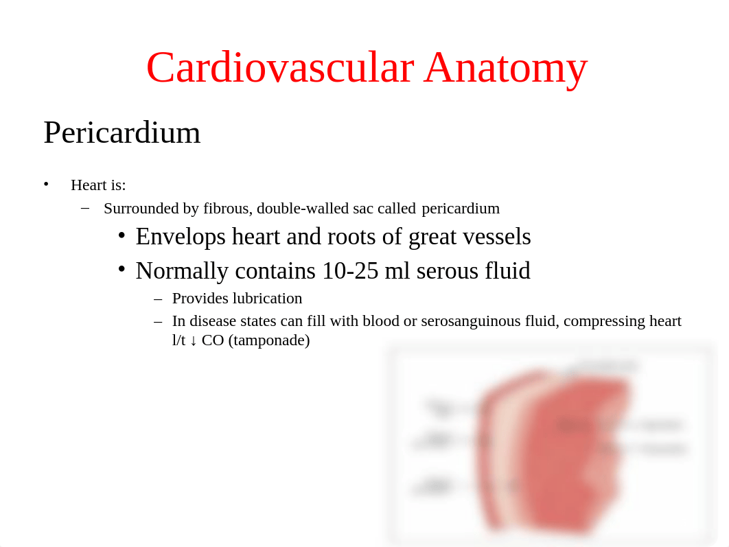 Cardio 1.pptx_d1jm32i6jm4_page5