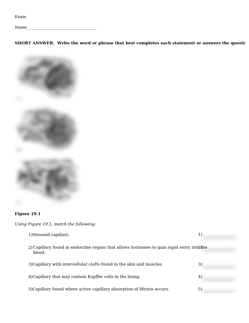 ch19.PDF_d1jrilshqxf_page1