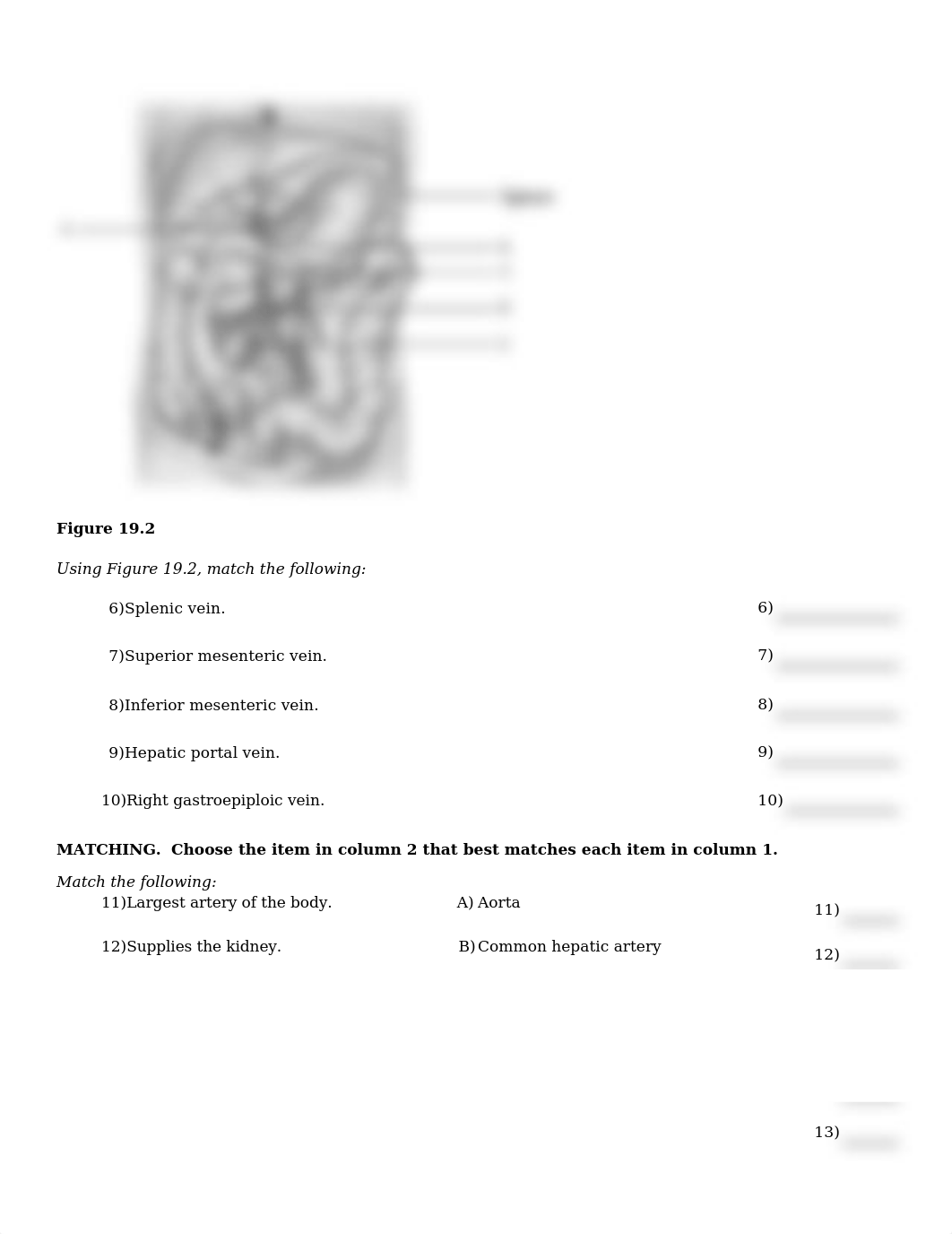 ch19.PDF_d1jrilshqxf_page2