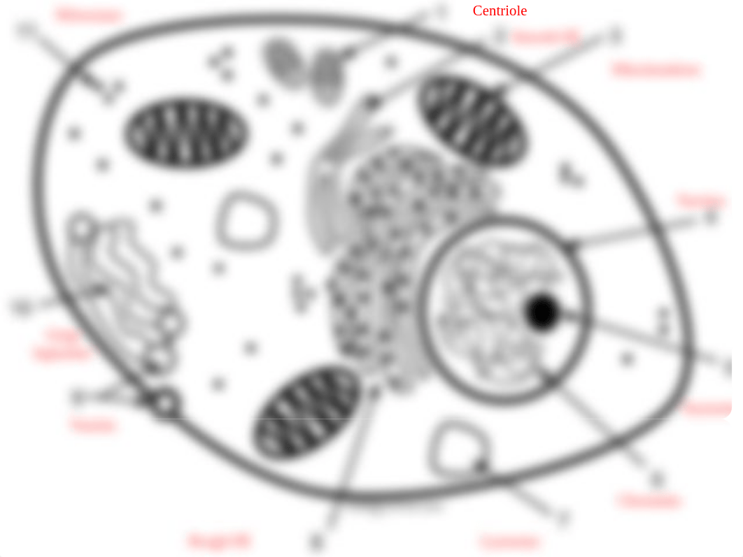 Cell Labeling (done).pptx_d1jvojc6n99_page2