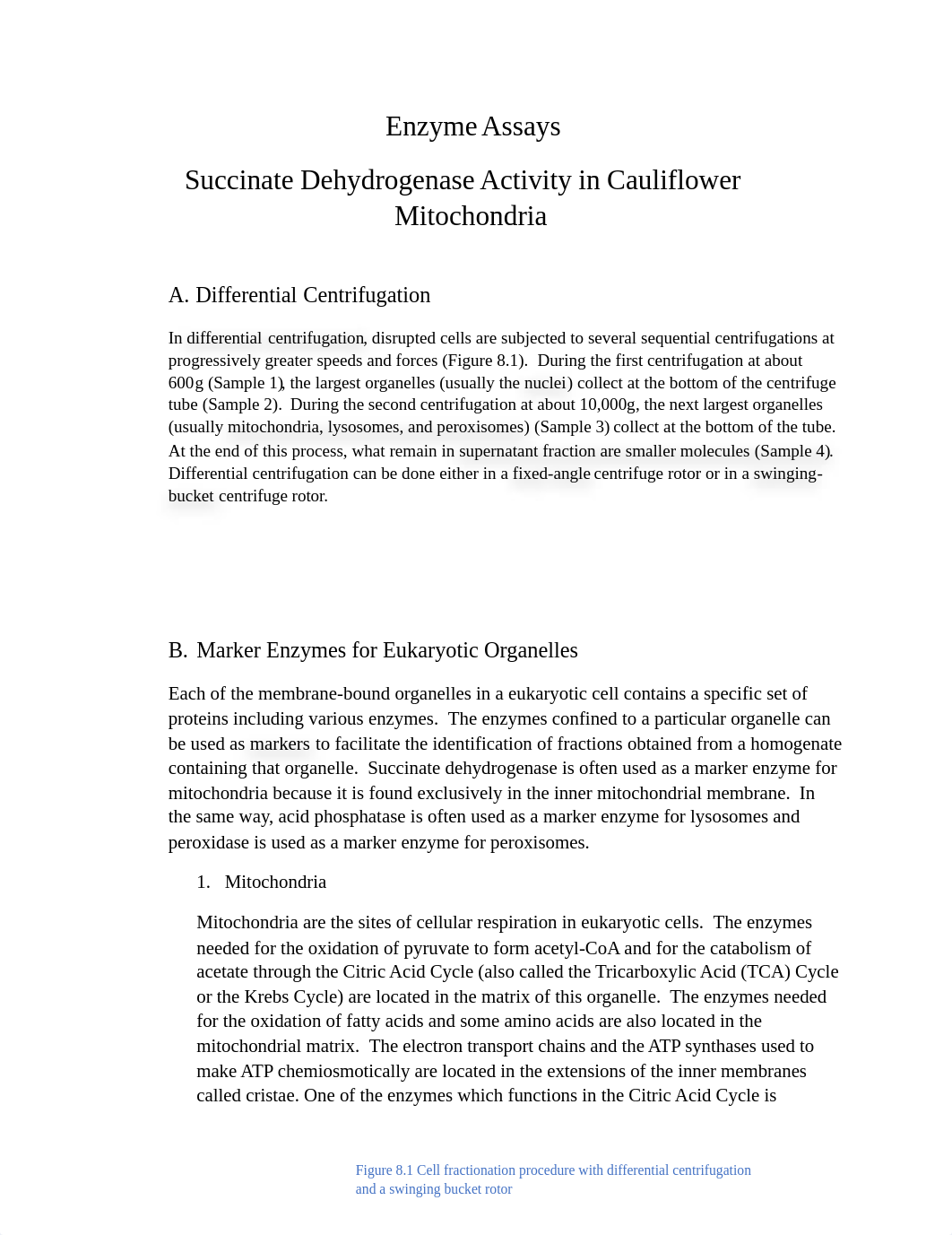 Assignment 2 Summer 2020 Enzyme Assays.docx_d1jyw5eoi2r_page1